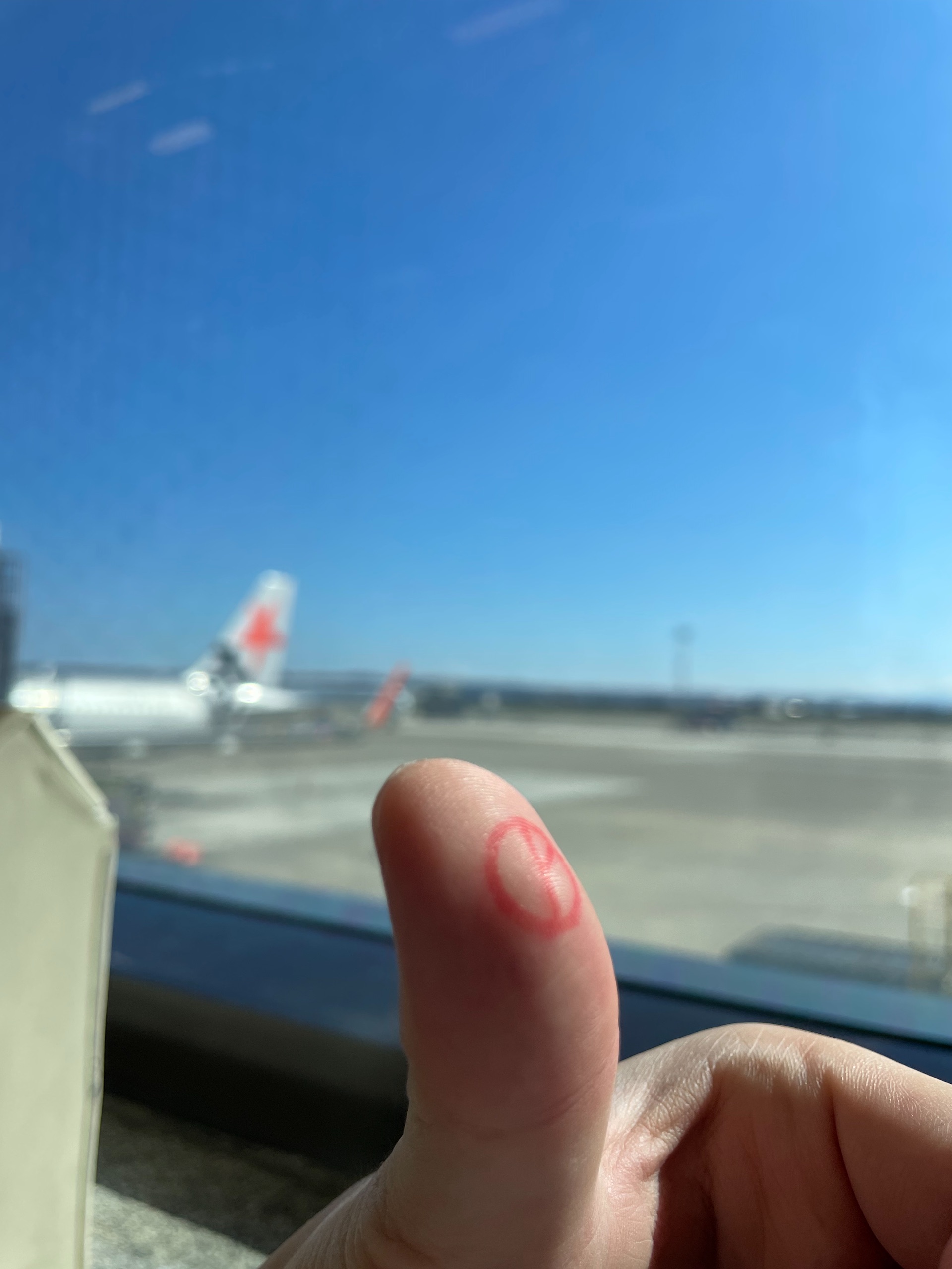投票章蓋在拇指上,背景是停機坪